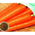 Natural Plant Extract Radish Extract Powder with 1%-98% Beta Carotene